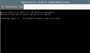 Amazon Linux 2 on VMware