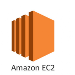 Find the instance id of an AWS EC2 instance within that EC2 machine